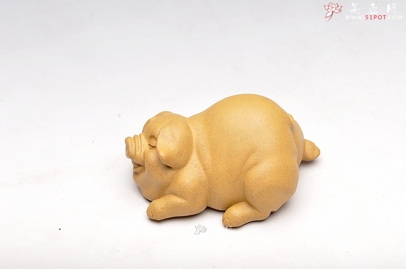 紫砂壶图片：小喜猪 福猪 壬辰年新品 段泥 不一般的甜蜜 - 美壶网