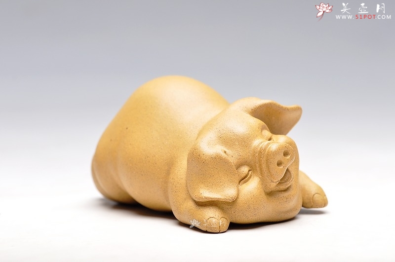 紫砂壶图片：小喜猪 福猪 壬辰年新品 段泥 不一般的甜蜜 - 美壶网