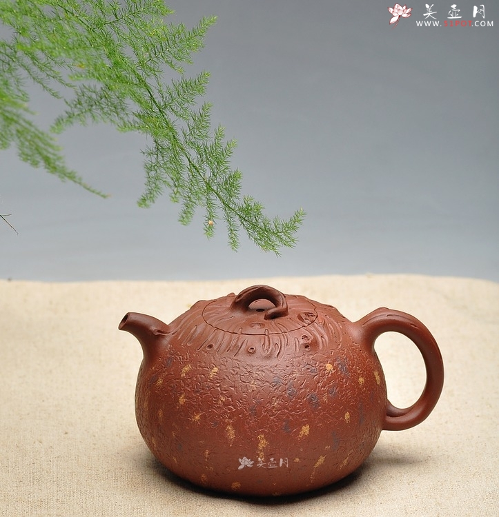 紫砂壶图片：蔡岩峰壬辰年新力作 全手桩语  - 美壶网