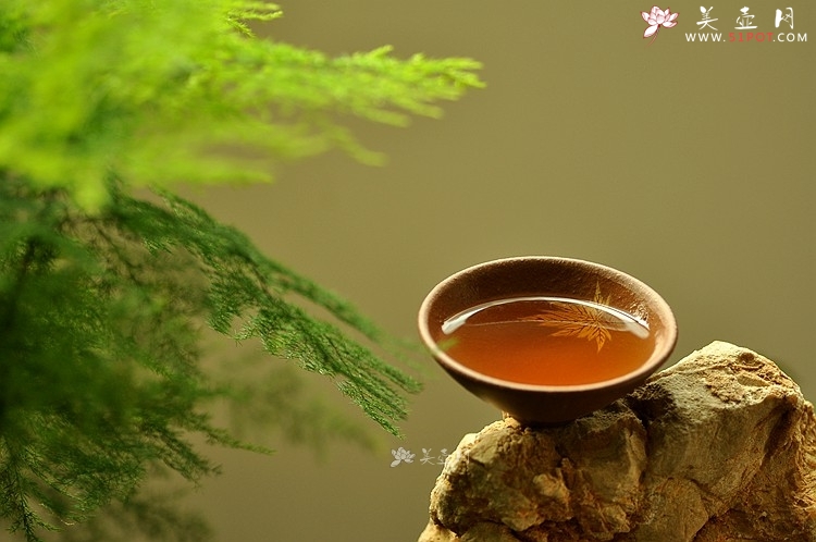 紫砂壶图片：石丁秋韵杯  - 美壶网