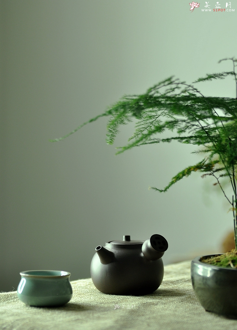 紫砂壶图片：金钱镂空~ 煮茶品茗 侧把巨轮 夏日风情~  电陶炉烧水 - 美壶网