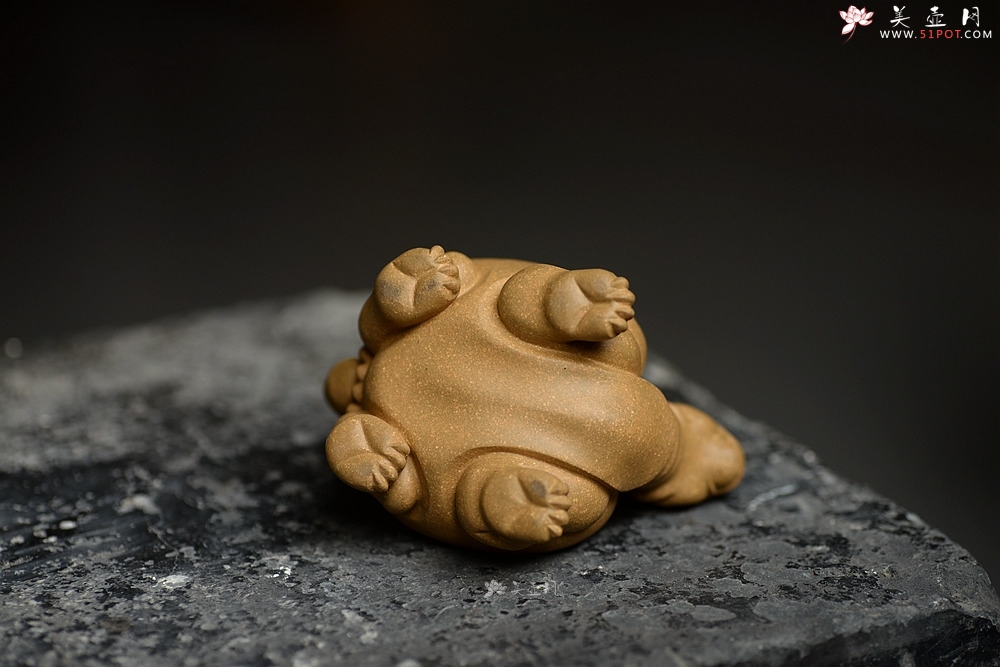 紫砂壶图片：段泥 做工精致 龙龟茶宠 - 美壶网