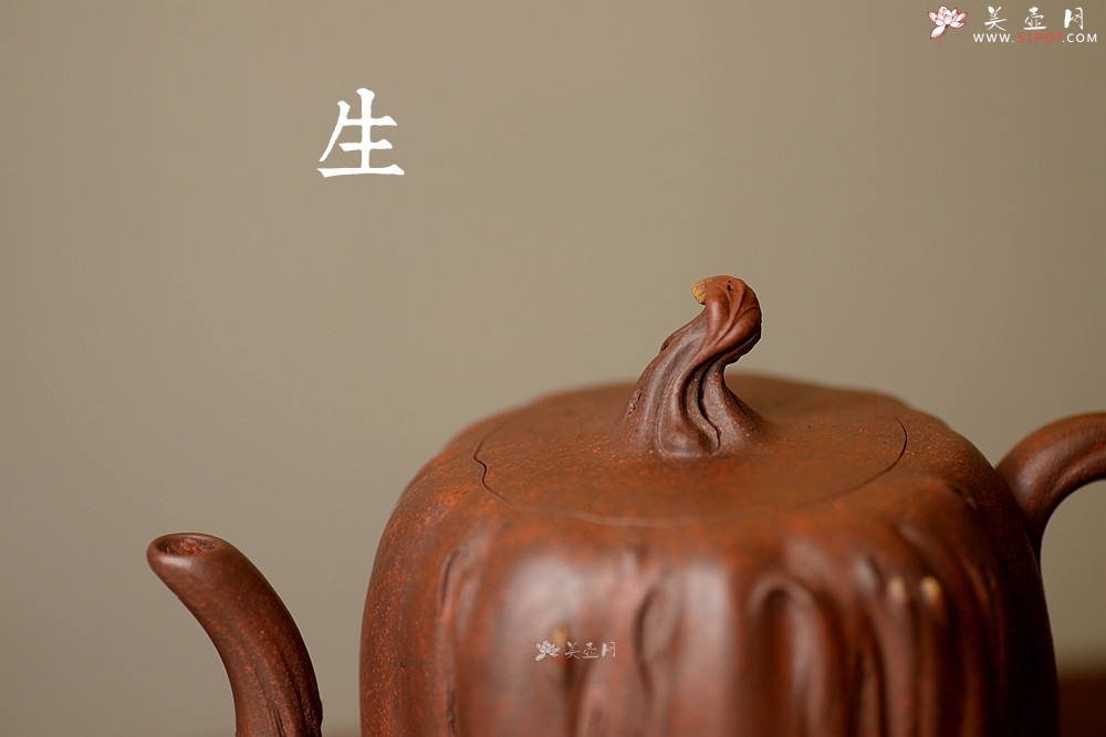 紫砂壶图片：吴震代表作 榕树 - 美壶网
