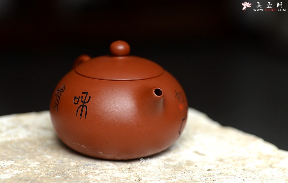 紫砂壶图片：小巧可人 实用有趣 赵庄朱泥之西施 - 美壶网