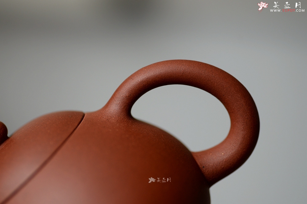 紫砂壶图片：美壶特惠 圆润饱满 实用小品 文旦 - 美壶网