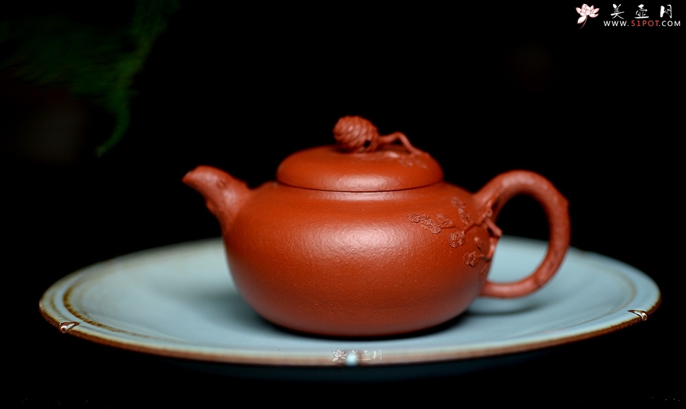紫砂壶图片：蔡一强新品  实用花货 以松针装饰生动  朱泥 全手松韵壶 - 美壶网