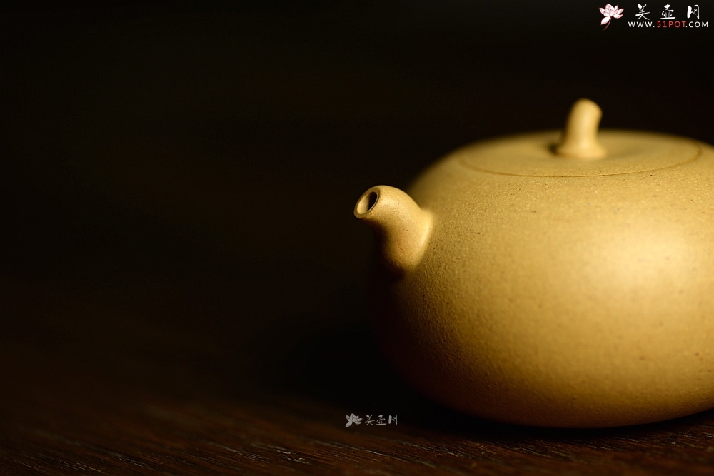 紫砂壶图片：于洪霞全手新品 娇小可人 纯正本山段泥  秋之小瓜  - 美壶网