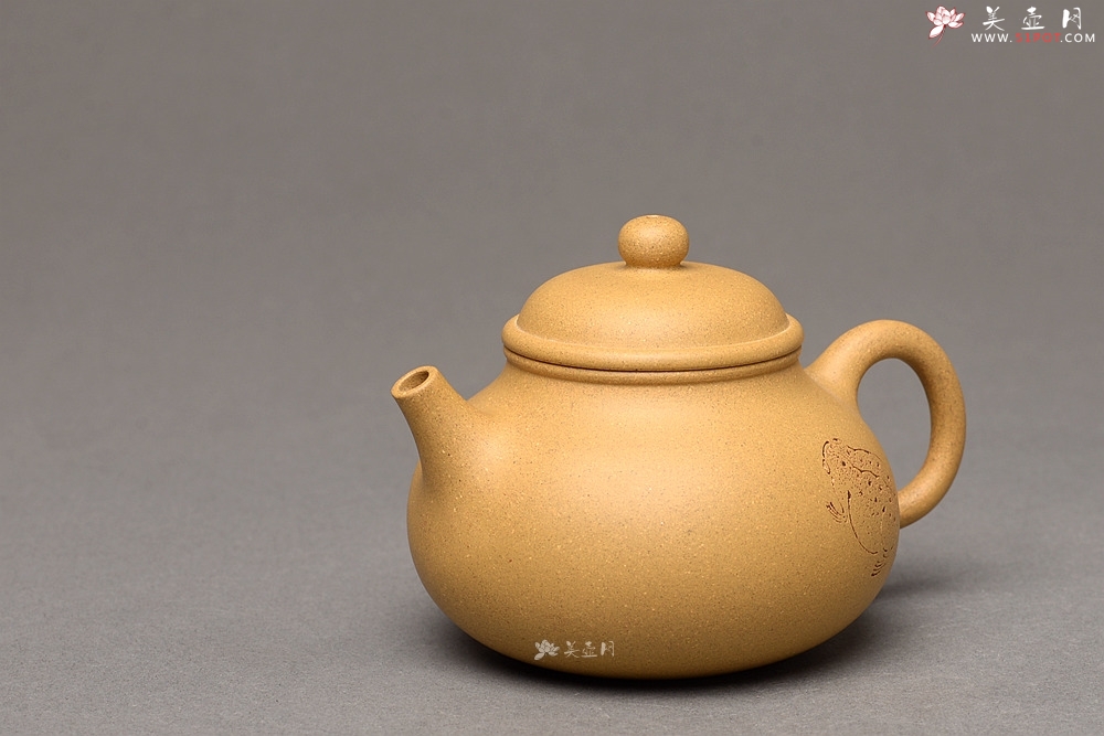 紫砂壶图片：壶中 古朴实用 杀茶利器 容天  - 美壶网