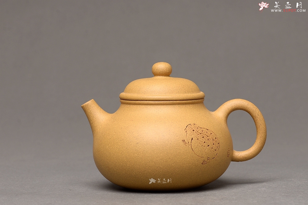 紫砂壶图片：壶中 古朴实用 杀茶利器 容天  - 美壶网