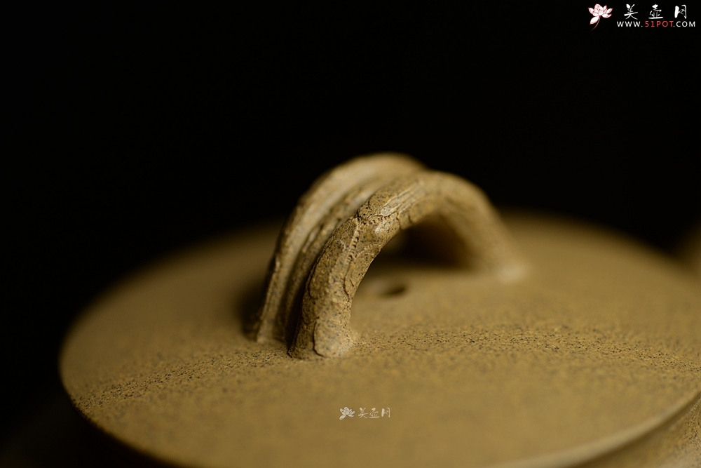 紫砂壶图片：高雪琴全手 段泥 端庄丰润 缎松 松皮逼真 - 美壶网