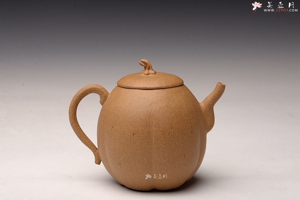 紫砂壶图片：姜建荣全手作品 硕果二 古拙有趣 秀气可人 - 美壶网