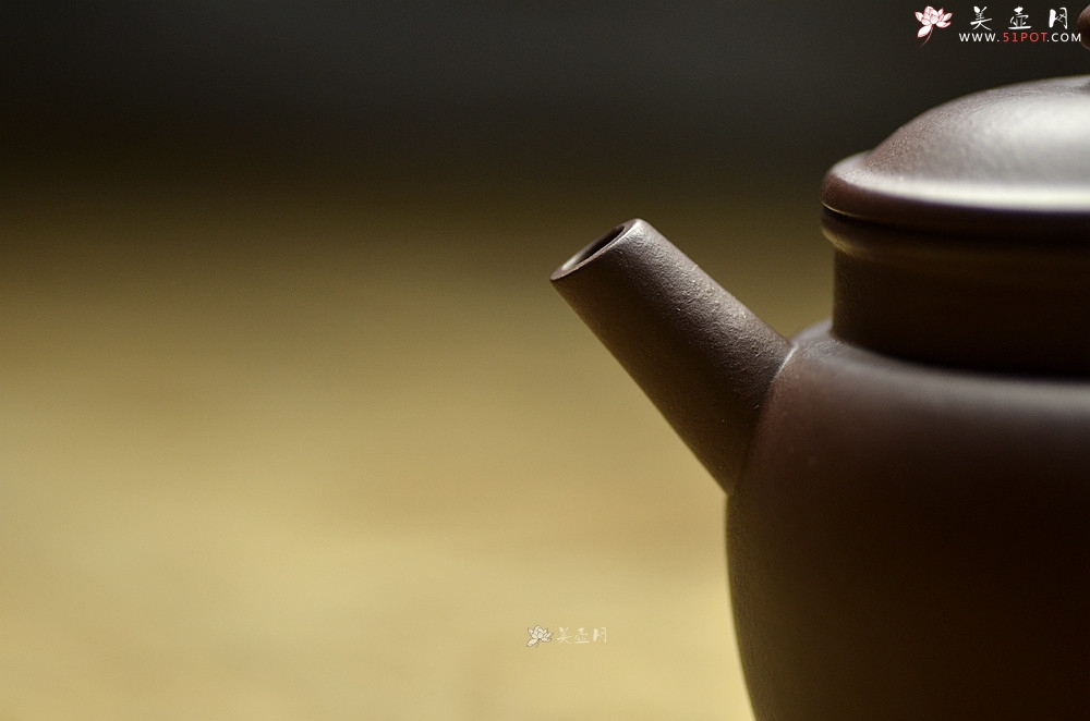 紫砂壶图片：美壶特惠 玩味巨轮 茶人爱 泓渝山房新品  - 美壶网
