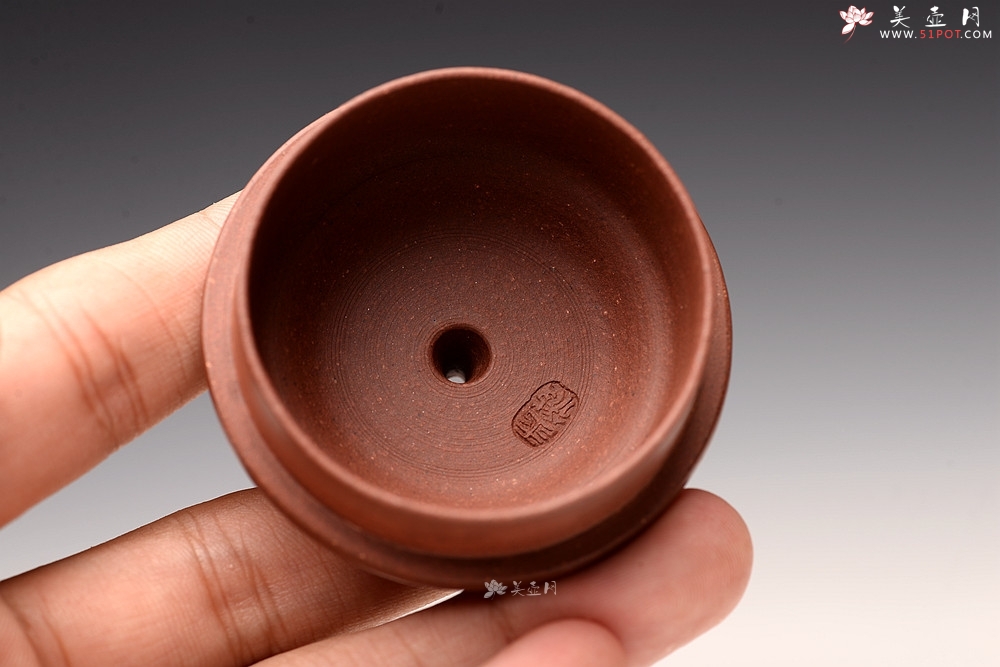 紫砂壶图片：王薇丙申夏全手 摹古宫灯 高挑古朴 适用发酵类茶 - 美壶网
