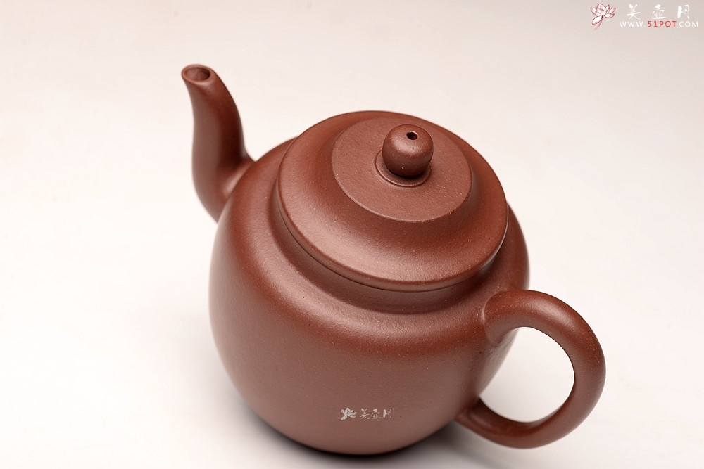 紫砂壶图片：王薇丙申夏全手 摹古宫灯 高挑古朴 适用发酵类茶 - 美壶网