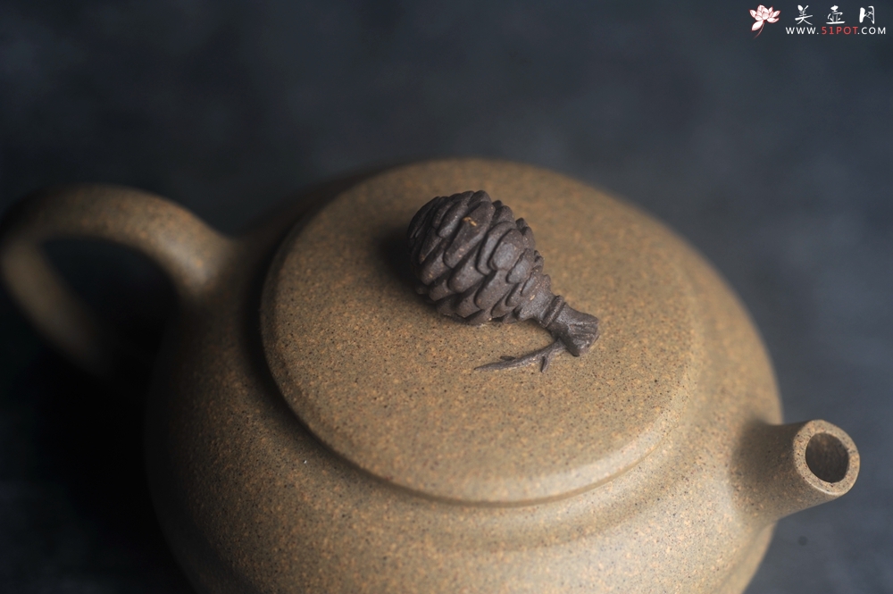 紫砂壶图片：美壶特惠 特好段泥精致松果壶 茶人醉爱 - 美壶网