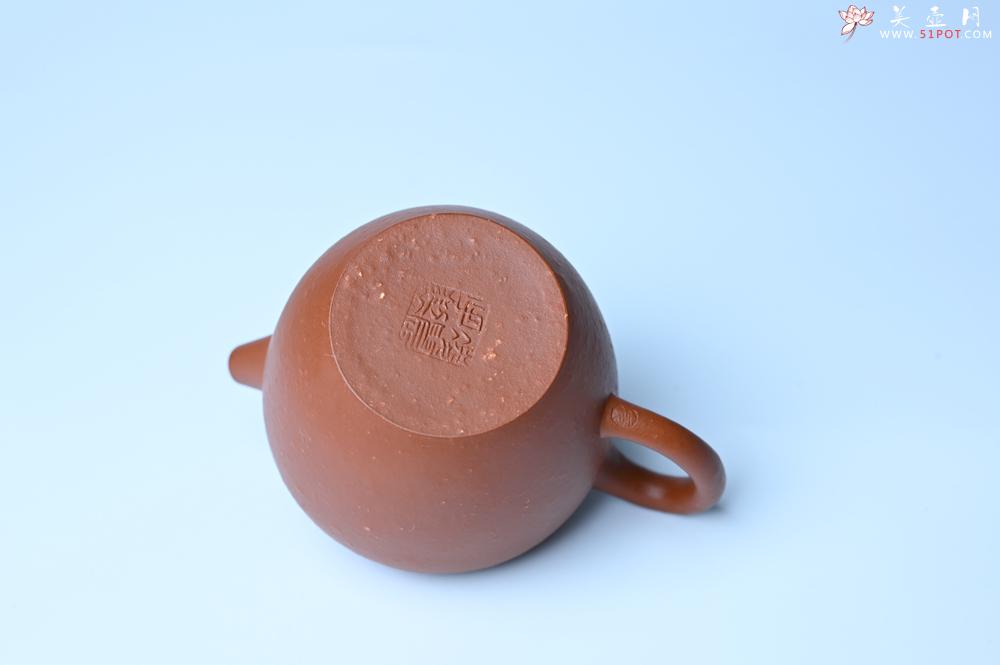 紫砂壶图片：美壶特惠 粗砂红泥巨轮壶 茶人醉爱 - 美壶网