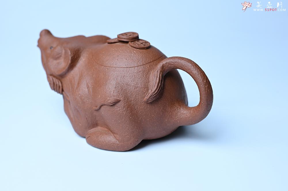 紫砂壶图片：美壶特惠 降坡泥鼠你有钱壶壶 茶人醉爱 - 美壶网