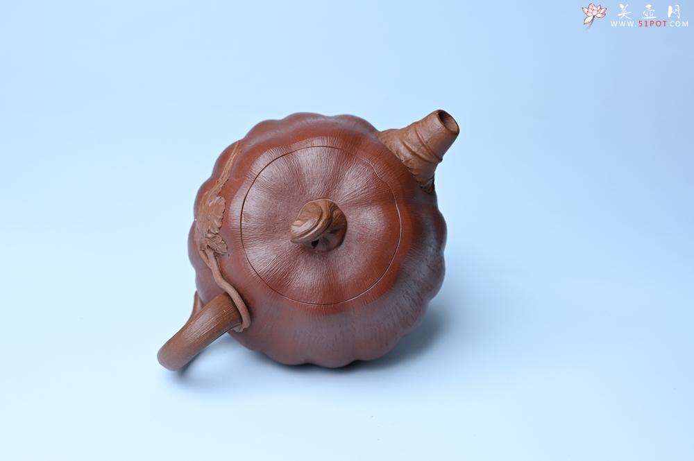 紫砂壶图片：美壶福利特惠 美壶定制 精致好料南瓜紫砂壶  肌理丰富生动 - 美壶网