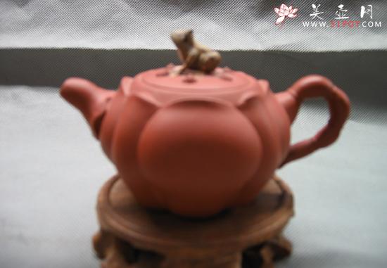 紫砂壶图片:青蛙莲花 - 美壶网