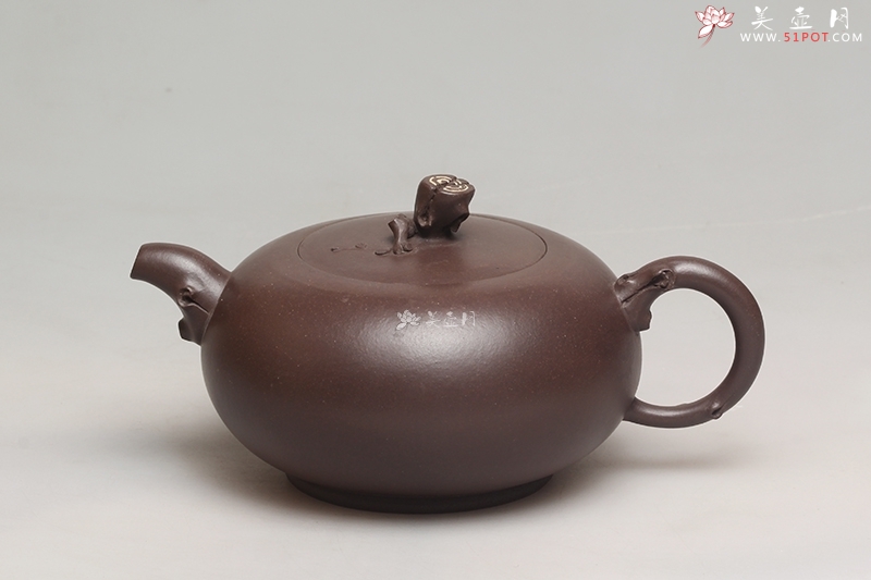 紫砂壶图片：一枝独秀 - 美壶网