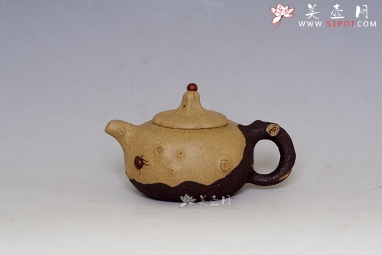 紫砂壶图片：双色树瘿 - 美壶网