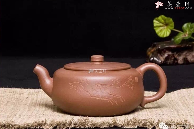 紫砂壶图片：虚怀 - 美壶网