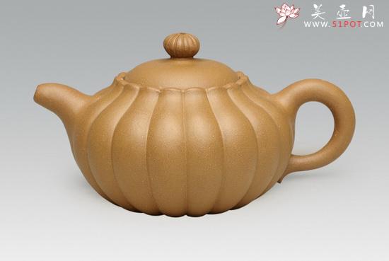 紫砂壶图片：菊蕾 拷贝 - 美壶网