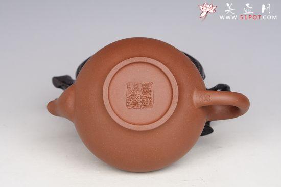 紫砂壶图片:IMG_IMG_4517 - 美壶网