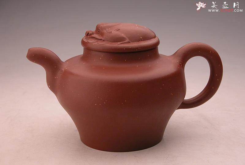 紫砂壶图片:财源滚滚 - 美壶网