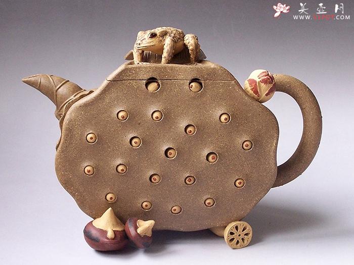 紫砂壶图片:蛤蟆莲蓬壶 - 美壶网