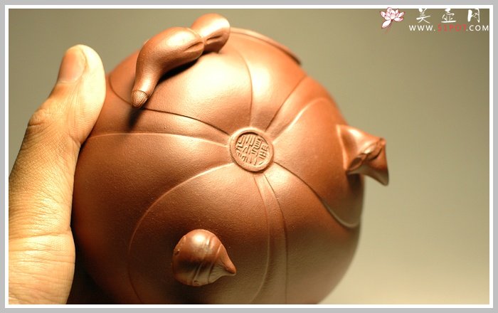 紫砂壶图片：青蛙莲子 - 美壶网