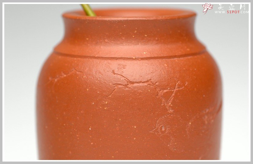 紫砂壶图片：全手朱泥雅致小鸟花瓶 - 美壶网