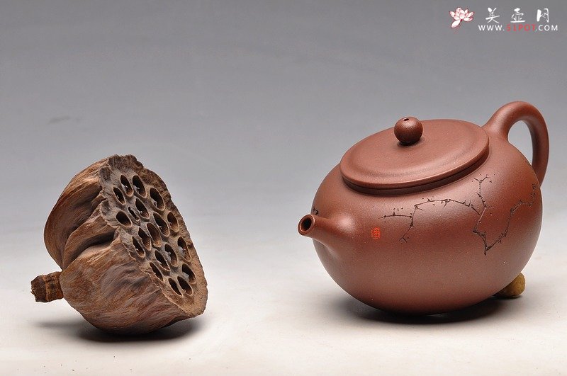 紫砂壶图片：炮管直流 枯枝鸟 古韵耐品 全手贡珠 - 美壶网