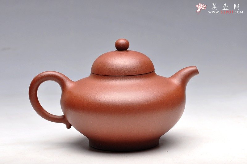 紫砂壶图片：秀气可人 体态丰润 尹君峰壬辰年新品 全手华颖 - 美壶网