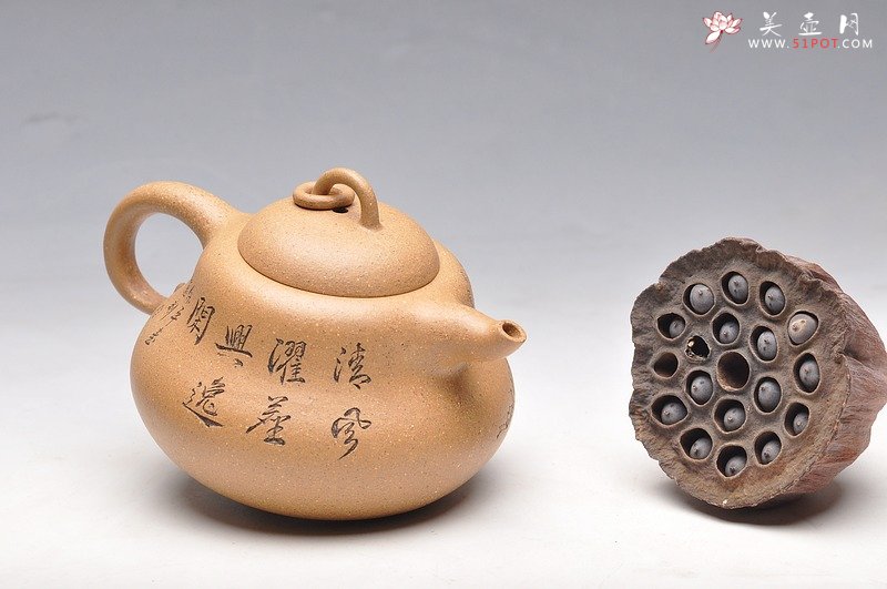 紫砂壶图片：优质段泥 漂亮优雅 矮葫芦 笑口常开 - 美壶网