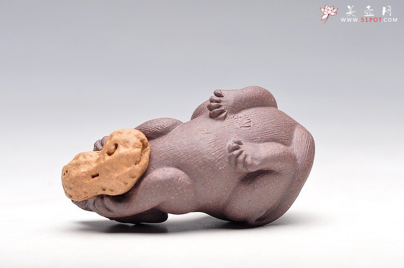 紫砂壶图片：掌中宝，花生鼠 特别好养 - 美壶网