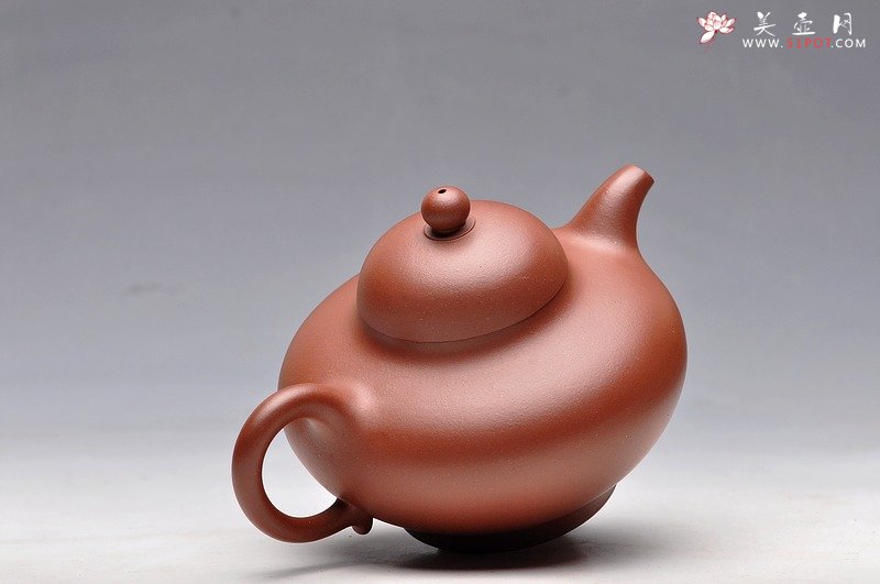 紫砂壶图片：秀气可人 体态丰润 尹君峰壬辰年新品 全手华颖 - 美壶网