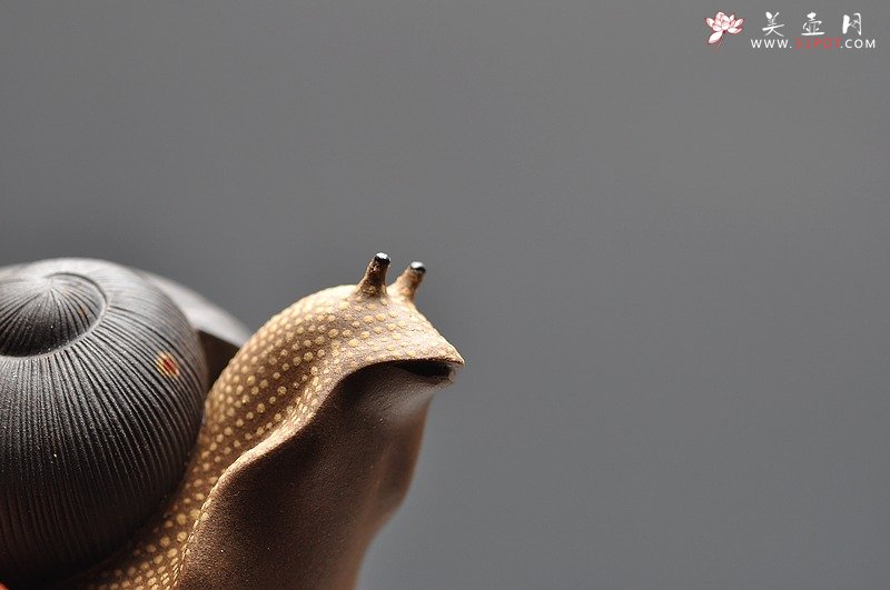 紫砂壶图片：做工精细  精品蜗牛茶宠 - 美壶网