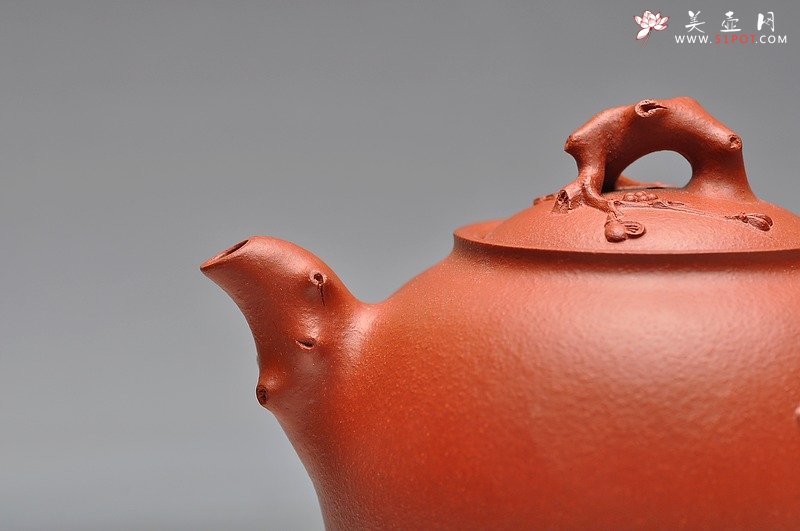 紫砂壶图片：饱满可爱 亭亭玉立 精品梅花 红梅圆珠 - 美壶网