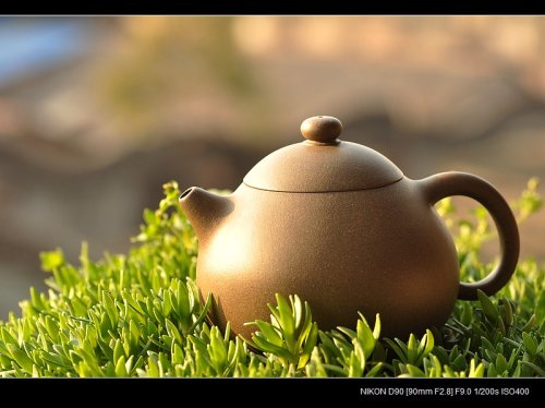 尹君峰紫砂壶 古朴神韵 清雅圆融 全手老味文旦 尹君峰新作 