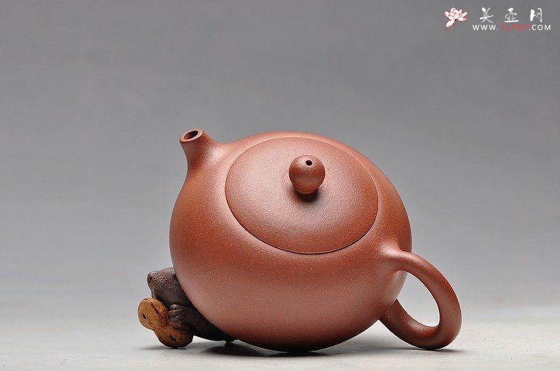 紫砂壶图片：优质底料 实用入门 全手扁西施 - 美壶网