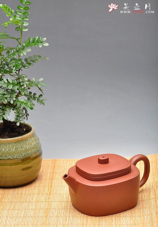 紫砂壶图片：亦圆亦方 平盖腰圆  质朴无华 老青水泥 - 美壶网