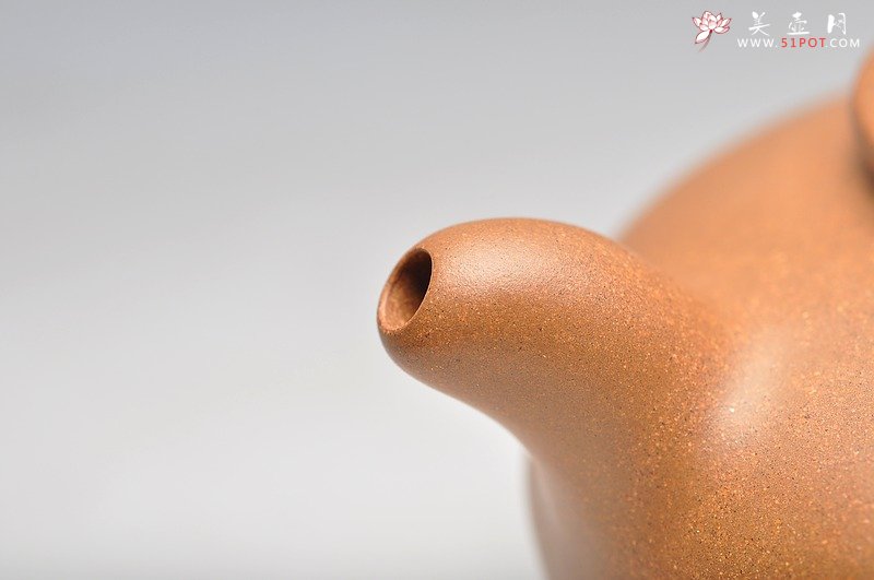 紫砂壶图片：道洪风格 敦实可爱 全手翔韵 实力之作 - 美壶网