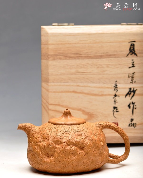 紫砂壶图片：夏立 壬辰年新作 瓜纽龚春 - 美壶网