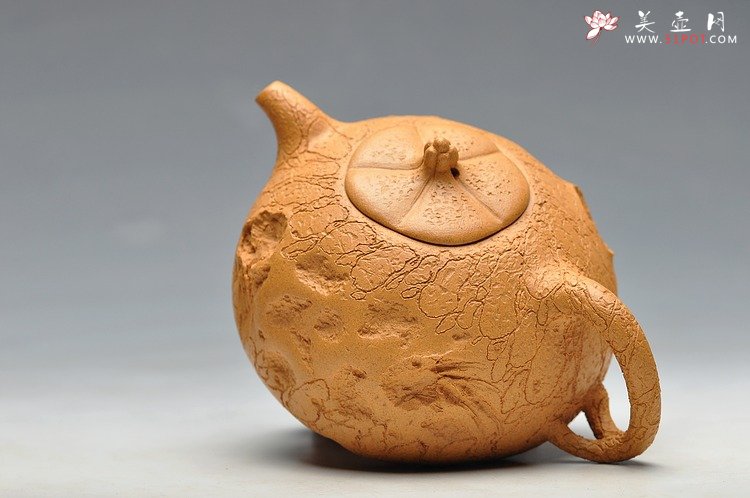 紫砂壶图片：老段泥 古朴灵气 融然  全手工灵芝龚春 瓜纽龚春 - 美壶网