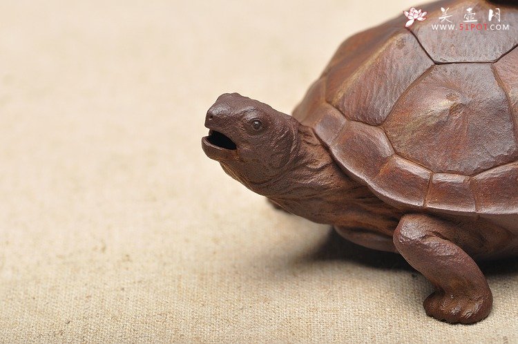紫砂壶图片：全手工仿生雕塑 孙金立 寿龟  - 美壶网