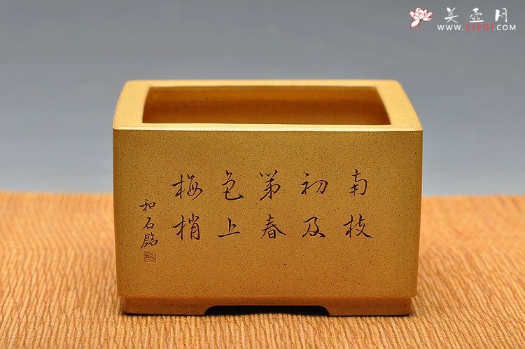 紫砂壶图片：精工典范 素雅秀气  万阗阗最新力作 全手四方花盆 - 美壶网