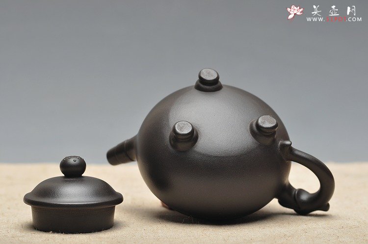 紫砂壶图片：蔡秀华 小中见大气 挺秀精神 龙珠 - 美壶网