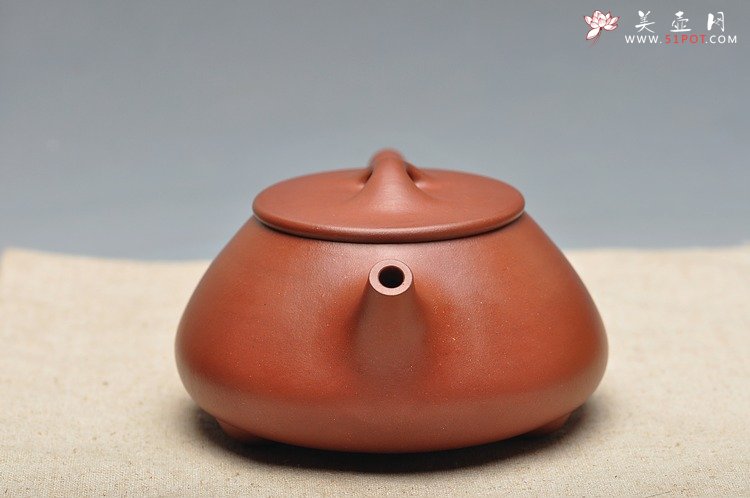 紫砂壶图片：非常纯的地槽青 进步斐然 劲道 精品满瓢 全手工 - 美壶网