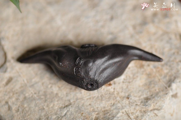 紫砂壶图片：精致版 菱角 逼真细腻 - 美壶网